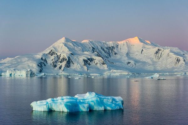 Su, Keren 아티스트의 Snow covered island and floating ice in South Atlantic Ocean-Antarctica작품입니다.
